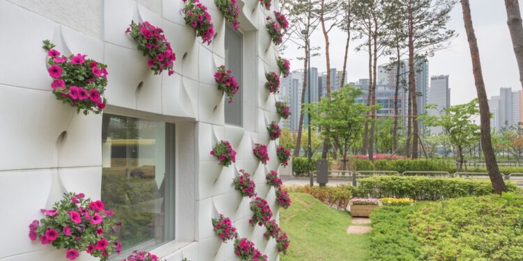 He makes weird-looking holes on apartment walls, but when it rains, it’s enchanting!