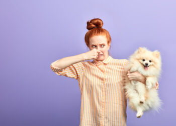 After spending thousands owner discovers why dog kept dropping stinky farts