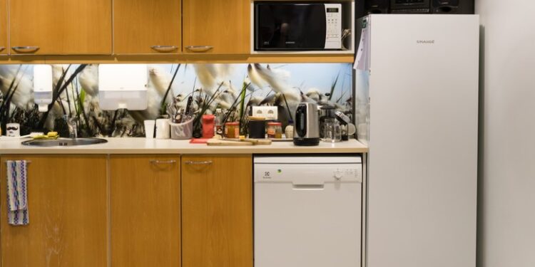 6 Tips to adjust an ugly dishwasher in the kitchen