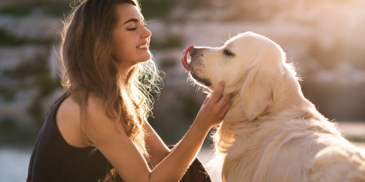 The best reasons to own a pet