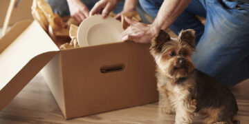 How to help your pet get familiar with a new home